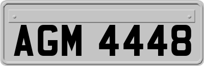 AGM4448