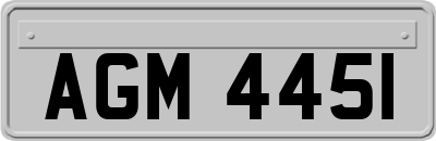 AGM4451