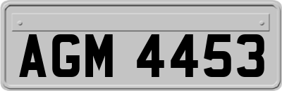 AGM4453