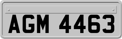 AGM4463