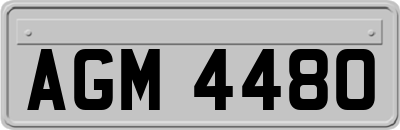 AGM4480