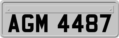 AGM4487