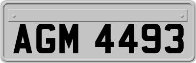 AGM4493