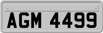AGM4499