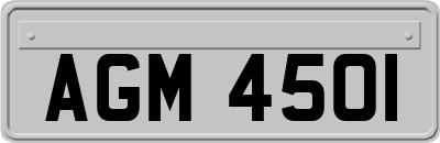 AGM4501