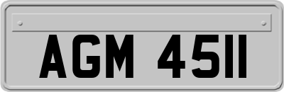 AGM4511