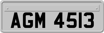 AGM4513