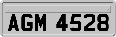 AGM4528