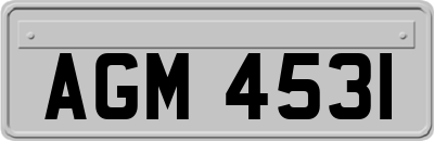 AGM4531