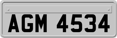 AGM4534
