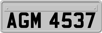 AGM4537