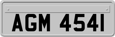 AGM4541