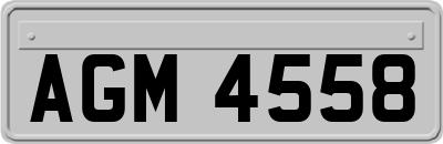 AGM4558