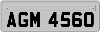 AGM4560