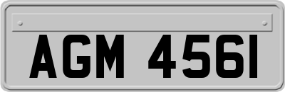 AGM4561