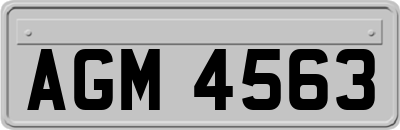 AGM4563