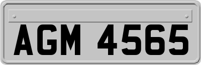 AGM4565