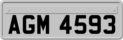 AGM4593
