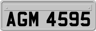 AGM4595