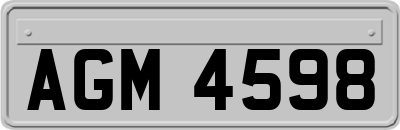 AGM4598