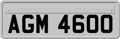 AGM4600