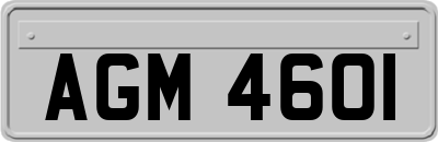 AGM4601