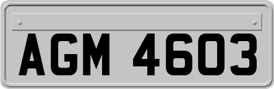 AGM4603