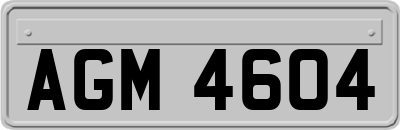 AGM4604