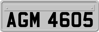 AGM4605