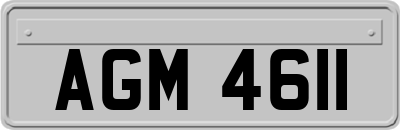 AGM4611