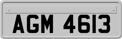 AGM4613