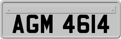 AGM4614
