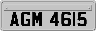 AGM4615