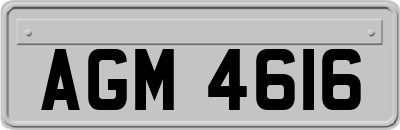 AGM4616
