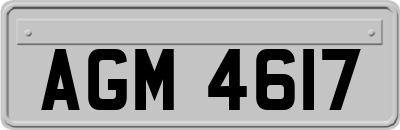 AGM4617