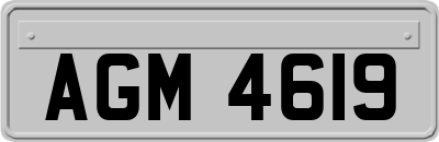 AGM4619