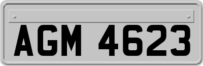 AGM4623