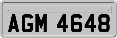 AGM4648