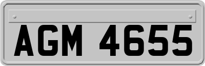 AGM4655