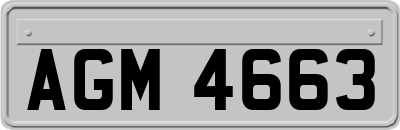 AGM4663
