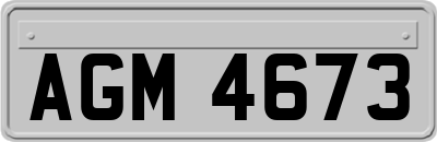 AGM4673