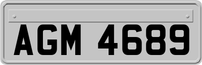 AGM4689