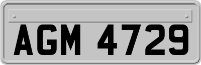 AGM4729