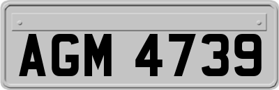 AGM4739