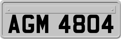 AGM4804