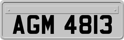 AGM4813