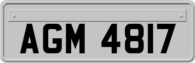 AGM4817