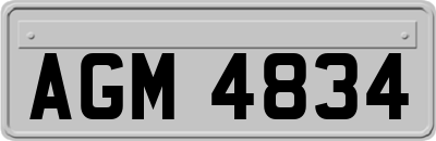 AGM4834