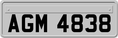 AGM4838