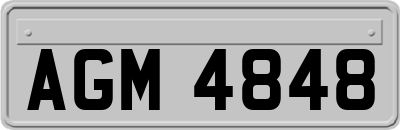 AGM4848